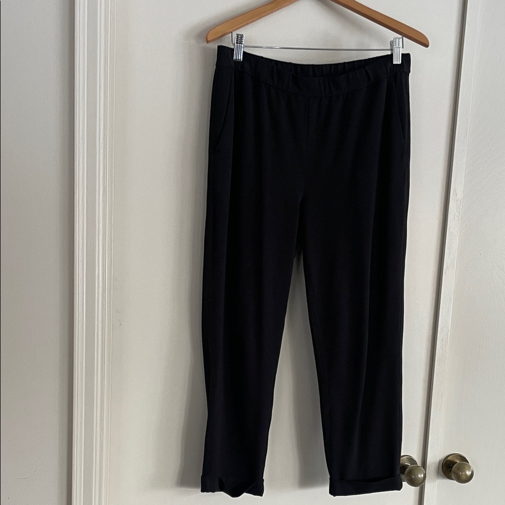 Eileen Fisher black ankle pant